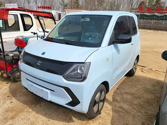 DONGFENG SCENERY MINIEV 2024