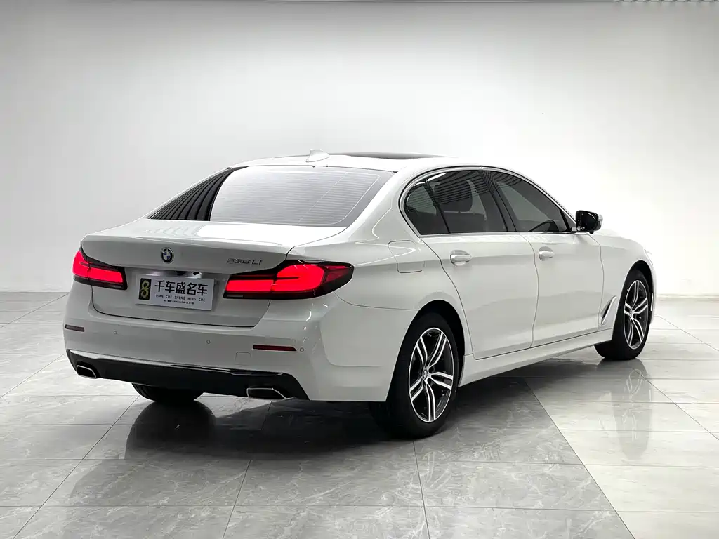 BMW 5 Series 5 2021 530Li Lead Luxury