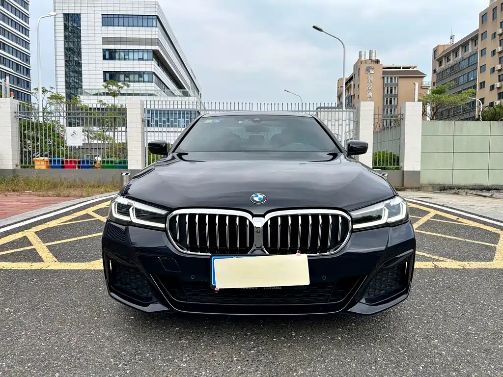 BMW 5 Series — миниатюра 2