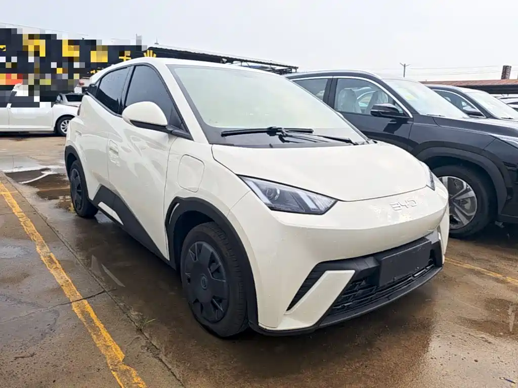 BYD Seagull 2024 305km