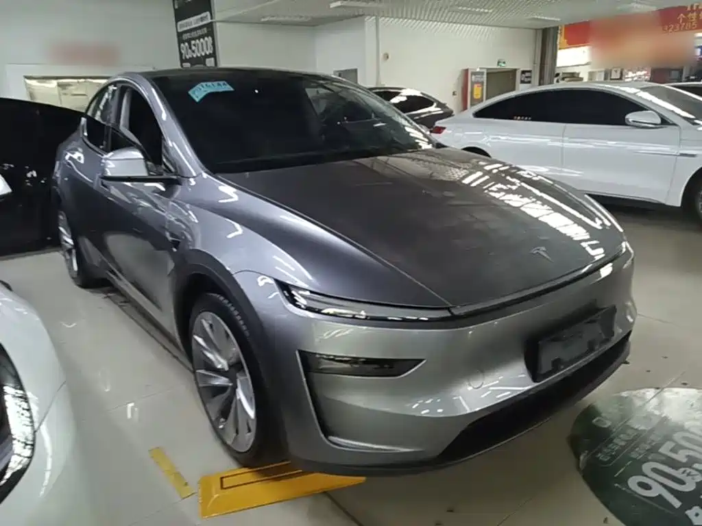 Tesla Model Y — миниатюра 4