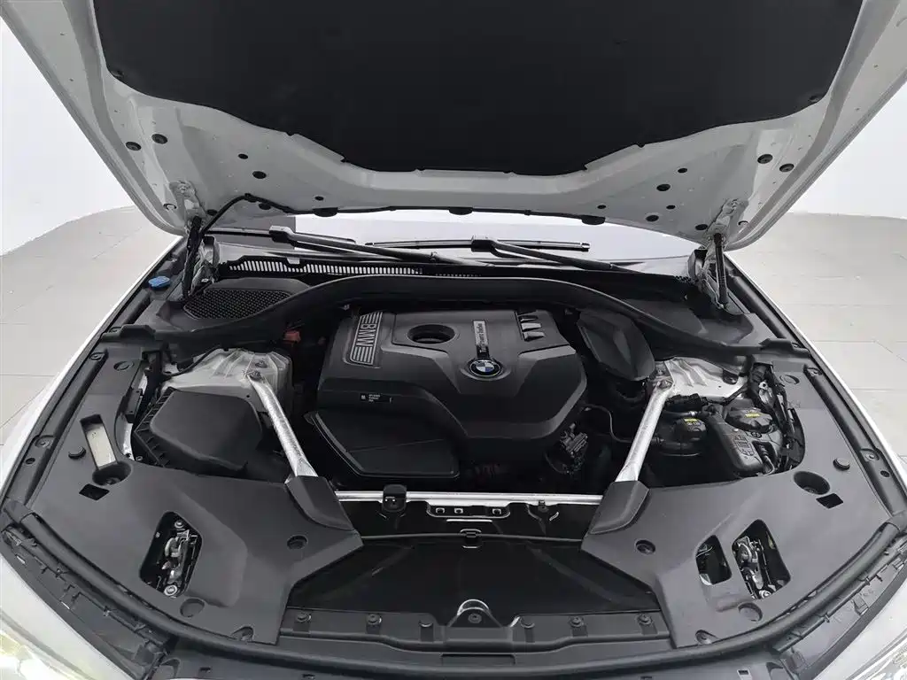 BMW 5 Series 5 2020 525Li Luxury
