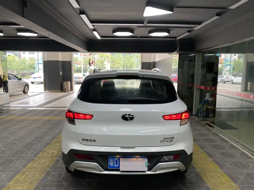 Soueast DX3 — миниатюра 3