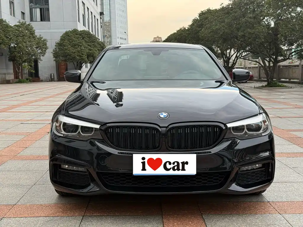 BMW 5 Series 5 2019 530Li Lead M Sport