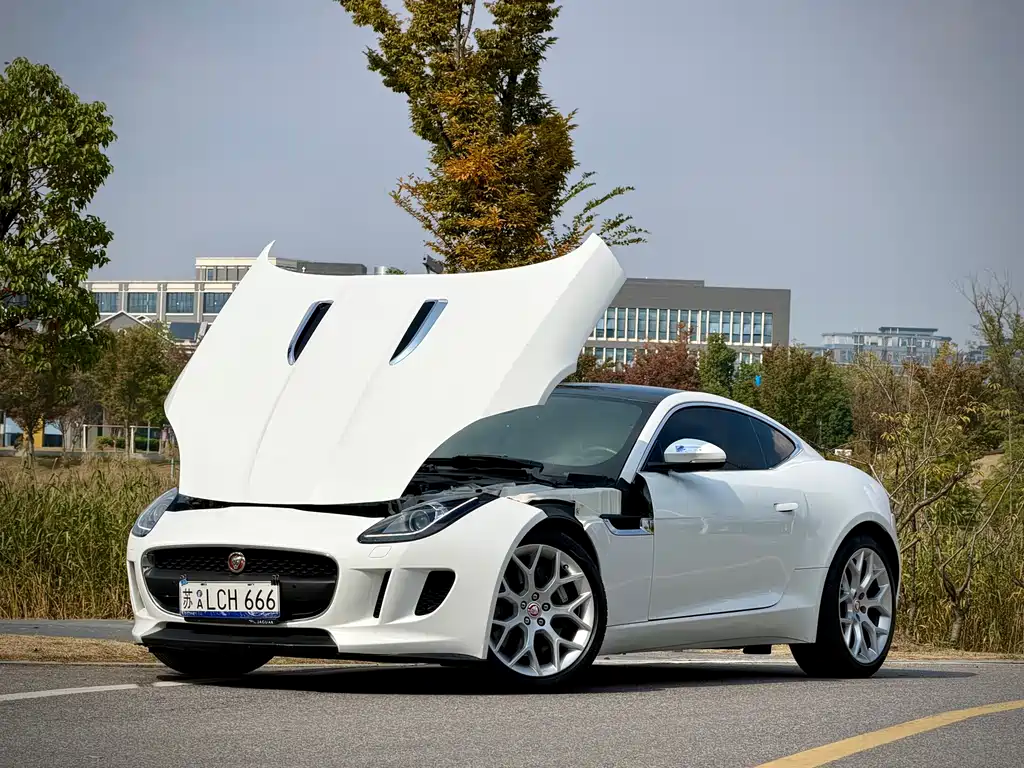 JAGUAR F TYPE