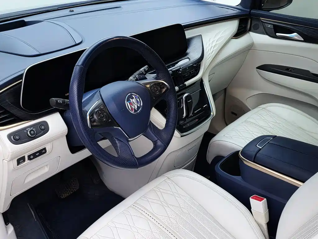 Buick GL8 — миниатюра 44