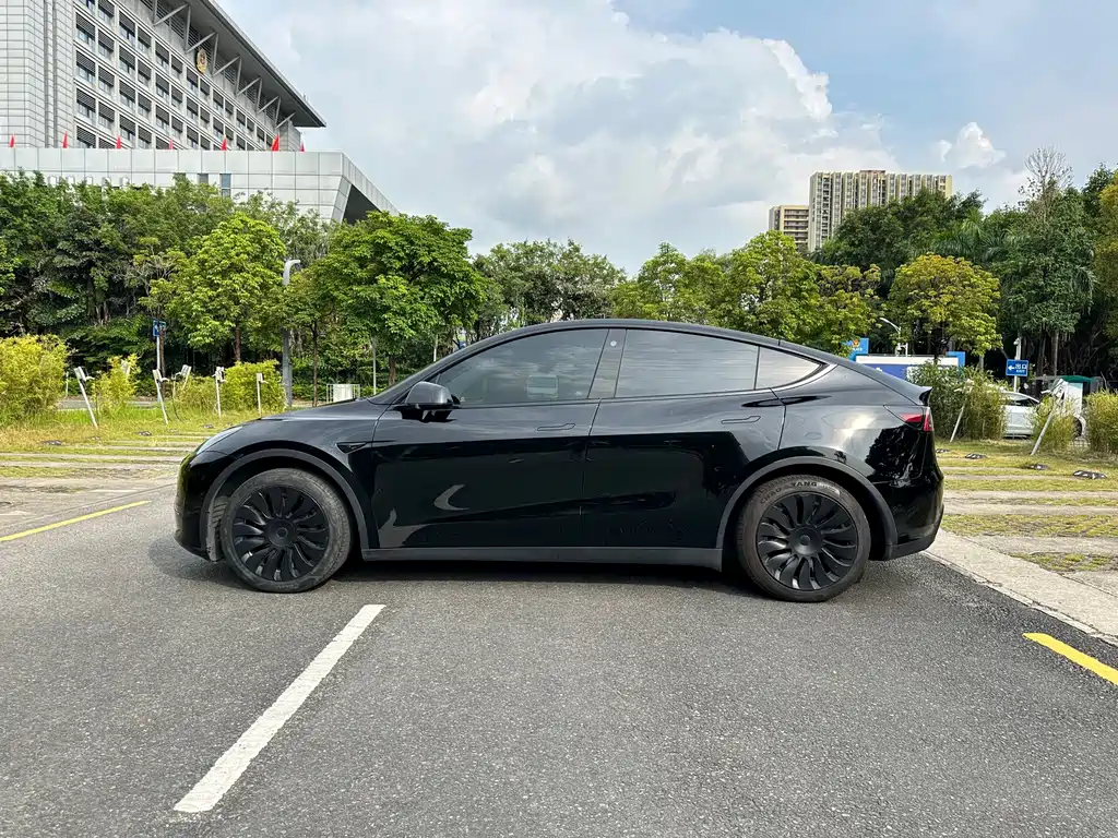 Tesla Model Y — миниатюра 3