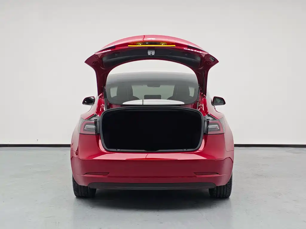 Tesla Model 3 — миниатюра 6