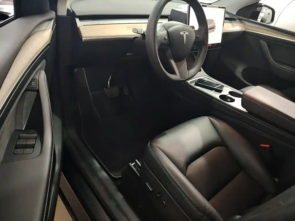 Tesla Model Y — миниатюра 16