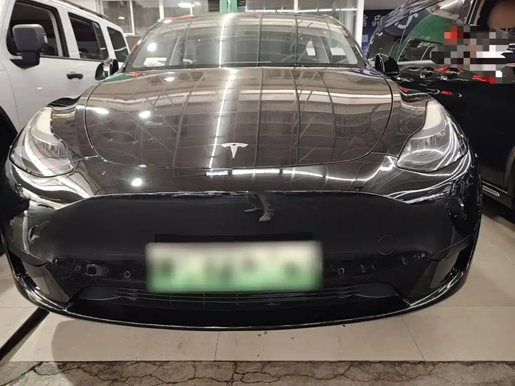 Tesla Model Y — миниатюра 3