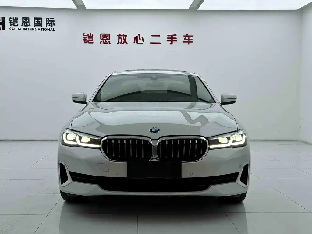 BMW 5 Series 5 2021 525Li Luxury