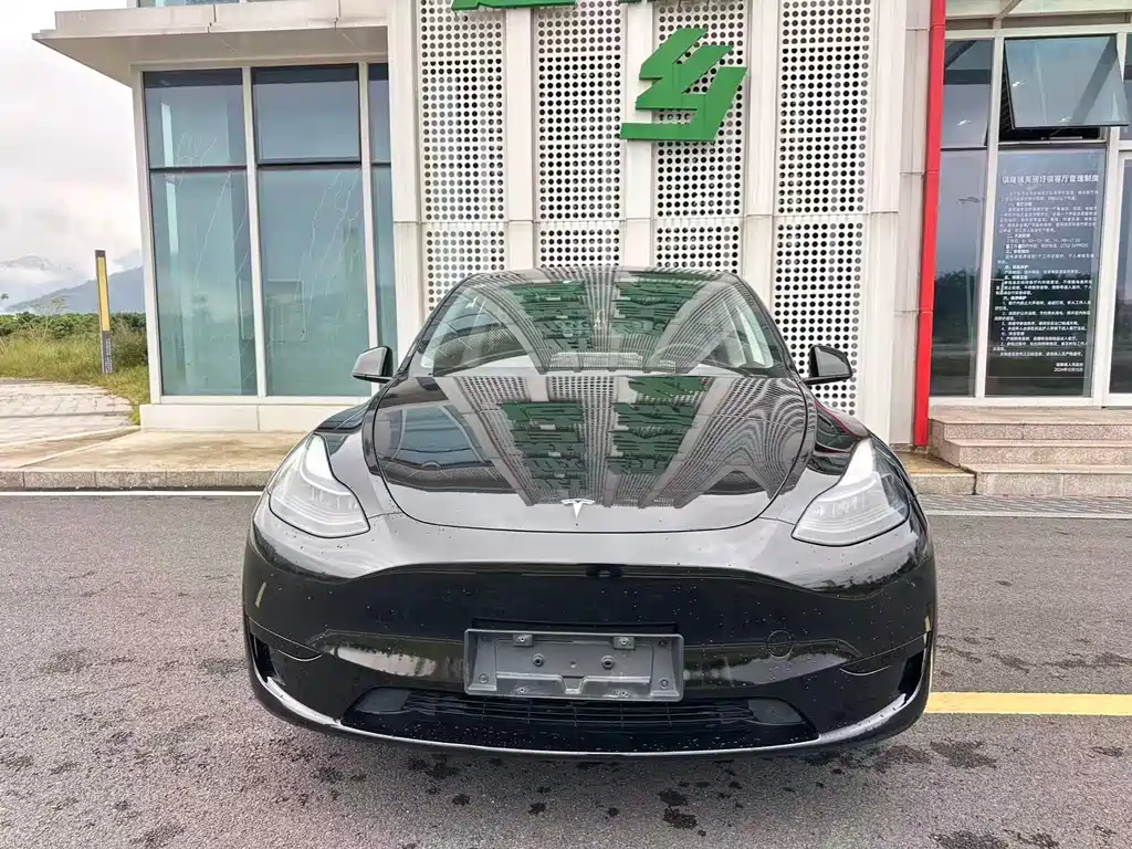 Tesla Model Y — миниатюра 21