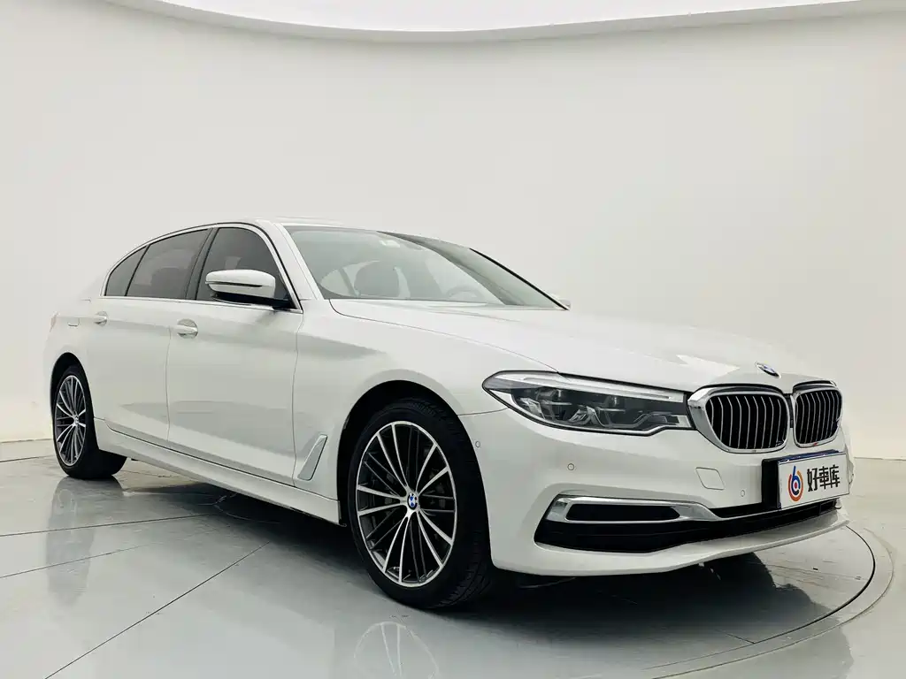 BMW 5 Series 5 2020 530Li Premium Luxury