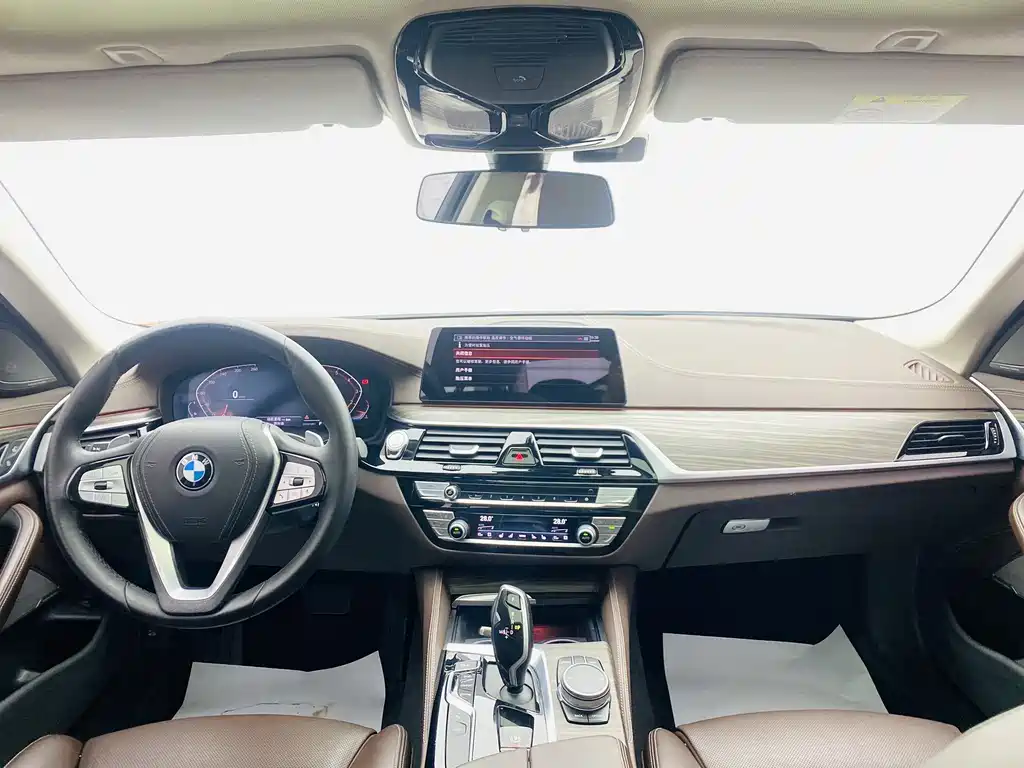 BMW 5 Series 5 2020 530Li Premium Luxury