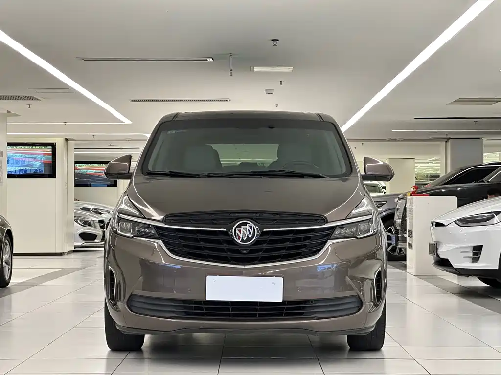 Buick GL8 — миниатюра 2