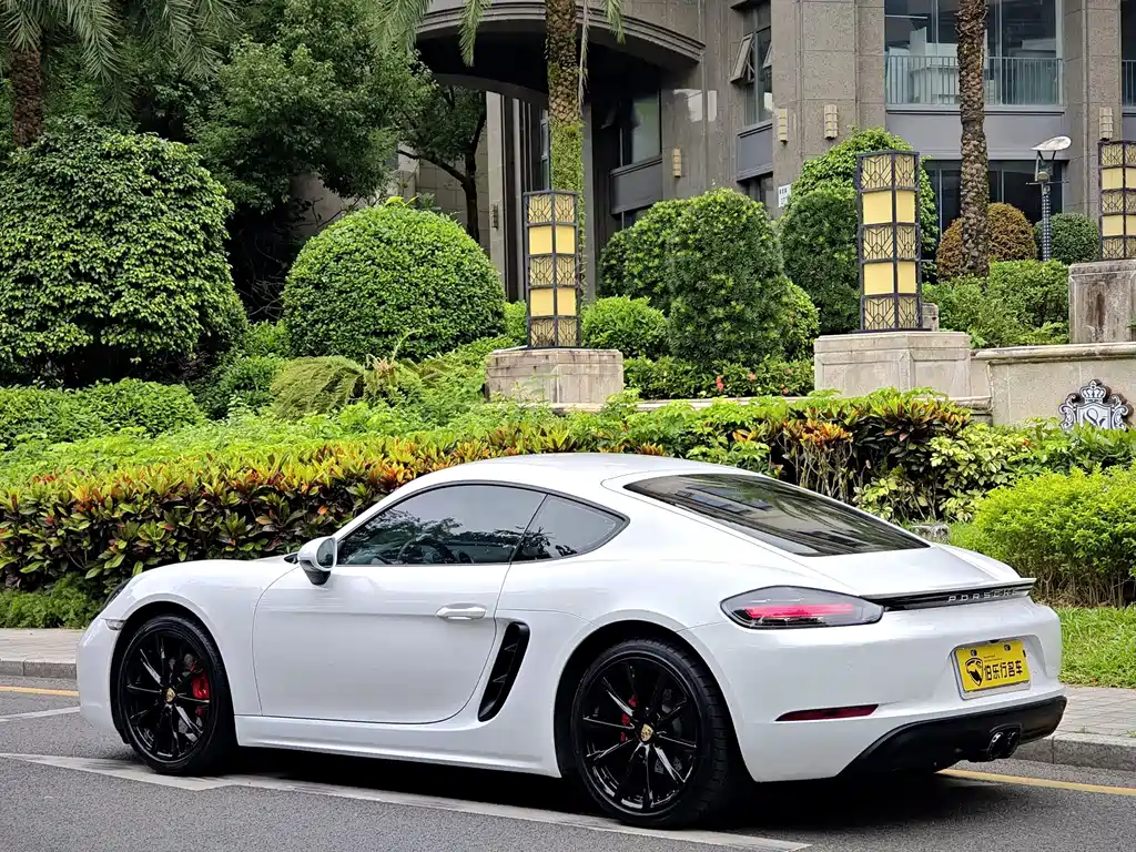 Porsche 718 — миниатюра 25