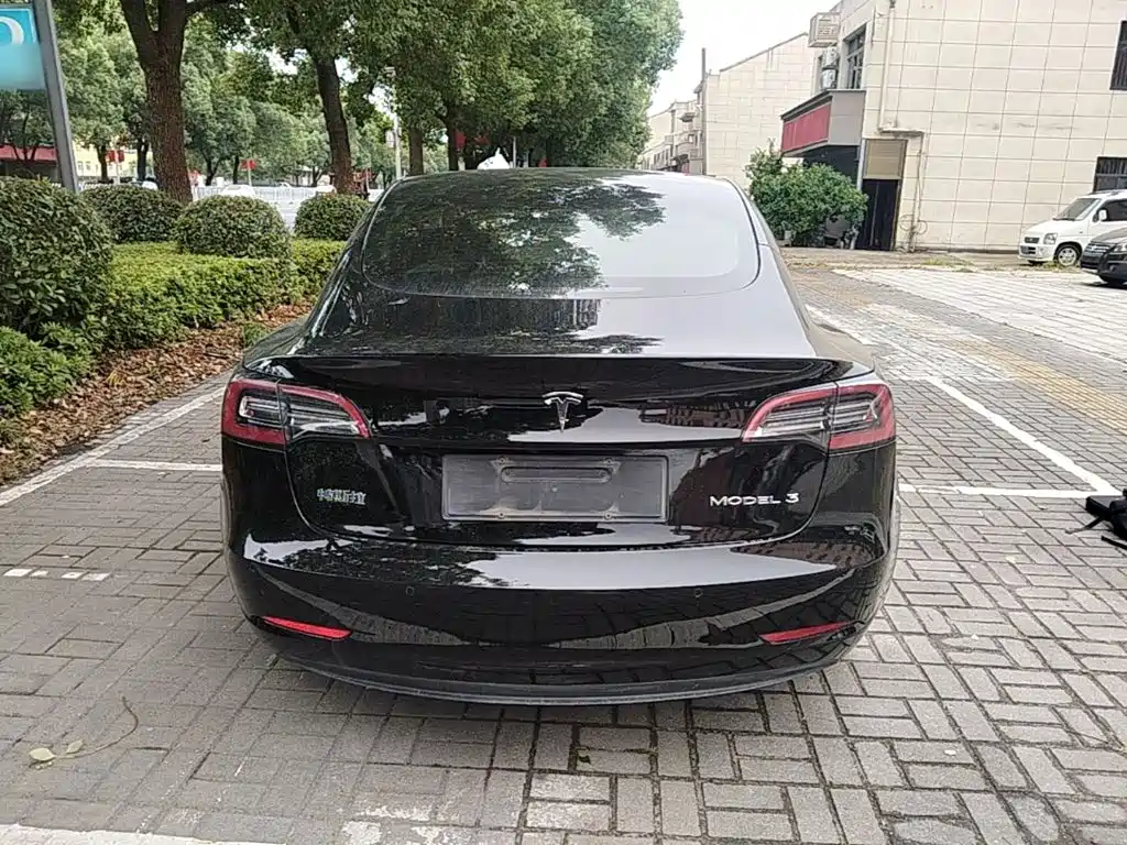 Tesla Model 3 — миниатюра 6