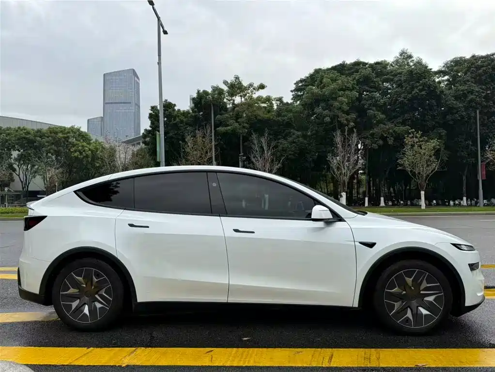Tesla Model Y L