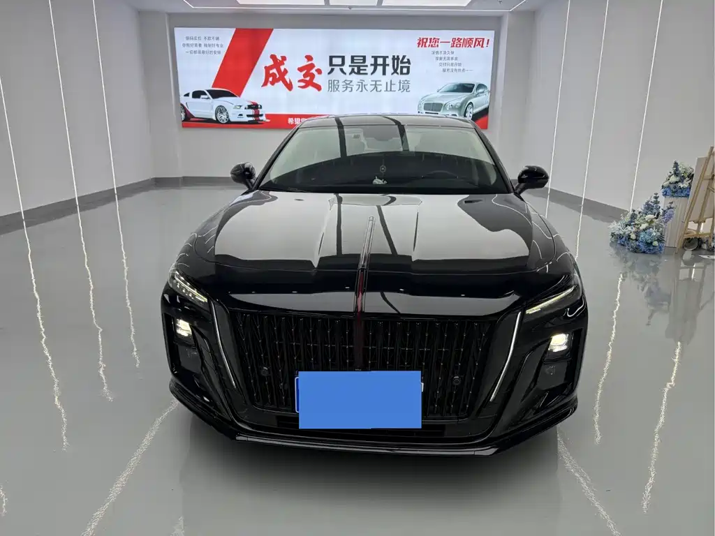 Hongqi Hongqi H5 — миниатюра 2