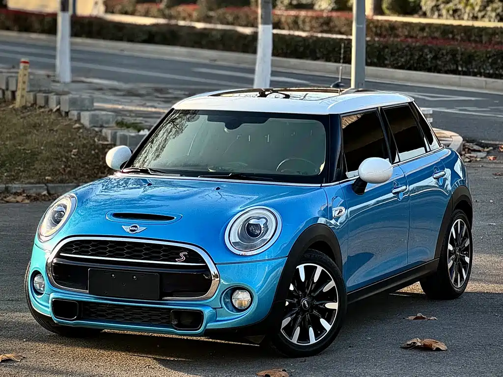 Mini Mini 2016