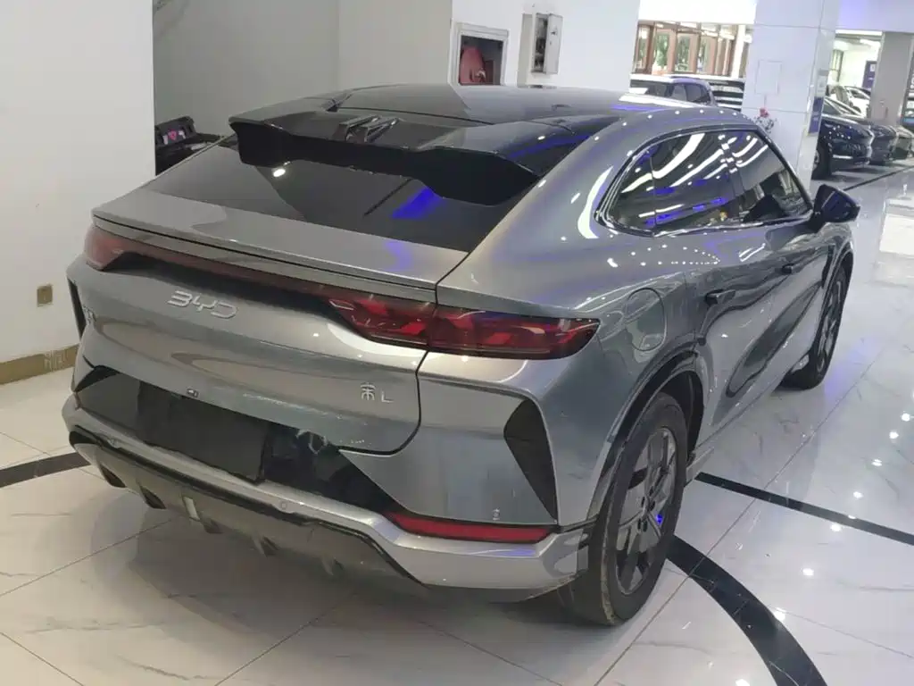 BYD L EV — миниатюра 7