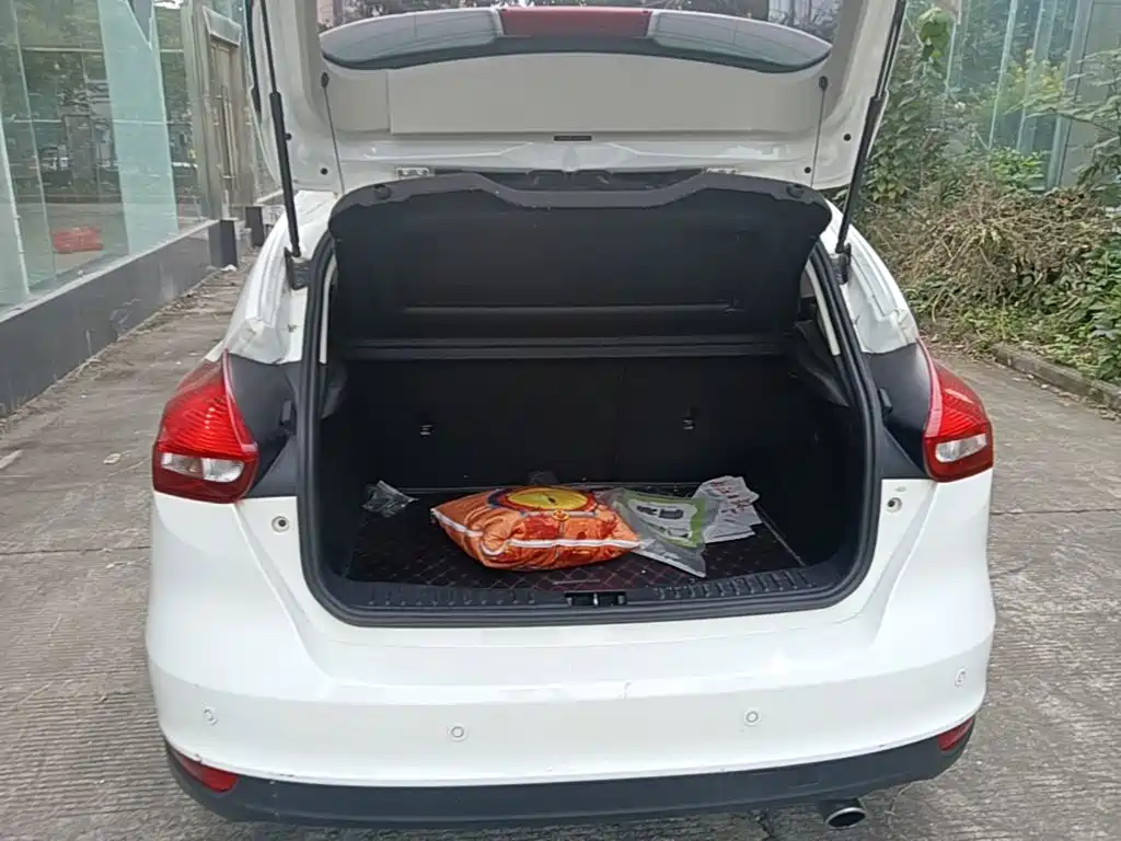 Ford Focus — миниатюра 19