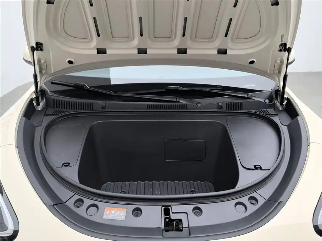 Geely Geome Xingyuan 2025 310km