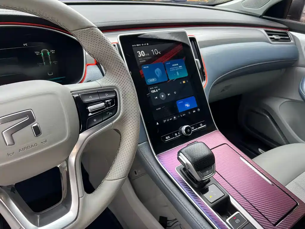 RISING AUTO FEIFAN ER6