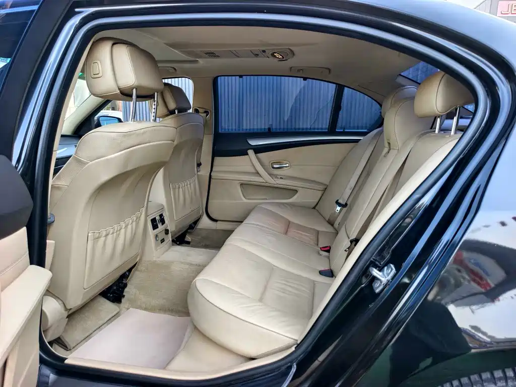 BMW 5 Series 5 2009 520Li Lead