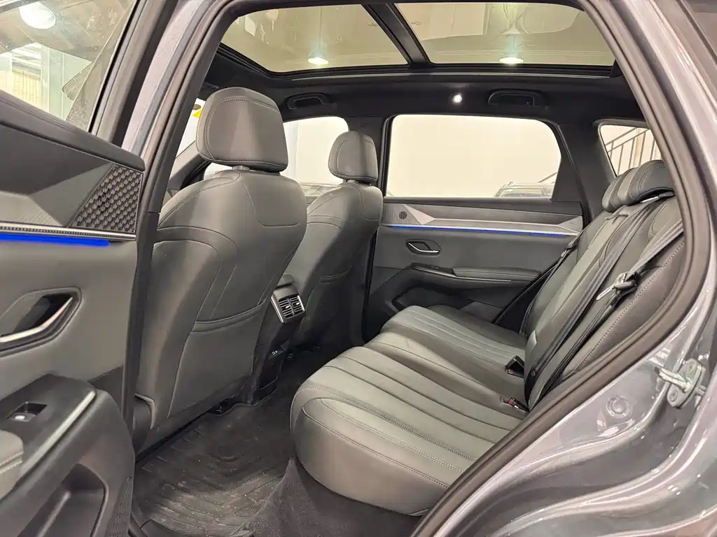 BYD SONGJIANG NEW ENERGY