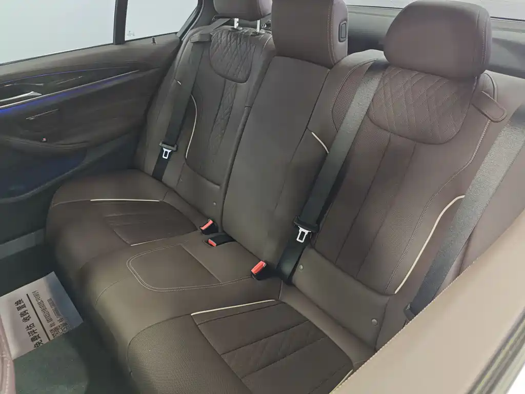 BMW 5 Series 5 2021 525Li M Sport