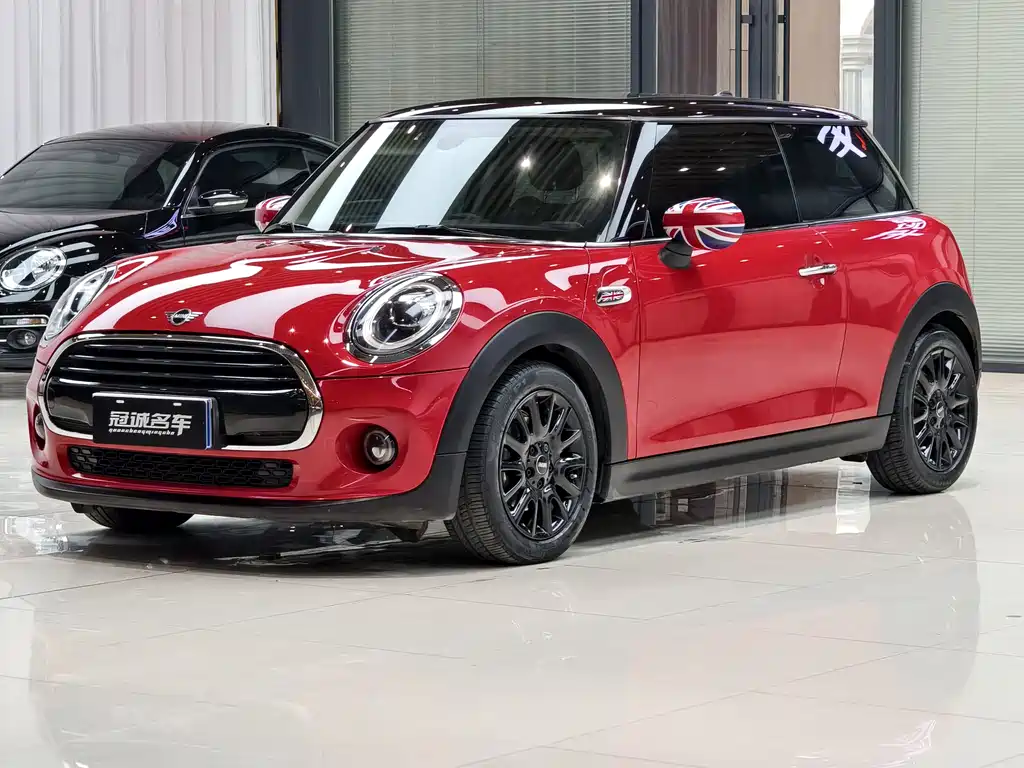 Mini Mini 2020