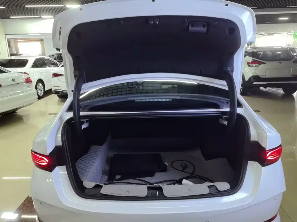 BYD Qin PLUS — миниатюра 19