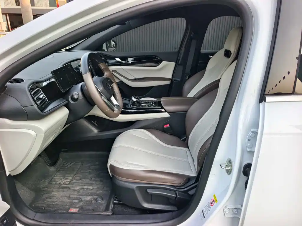 BYD Qin Plus PLUS 2024 DM-i 55KM Lead