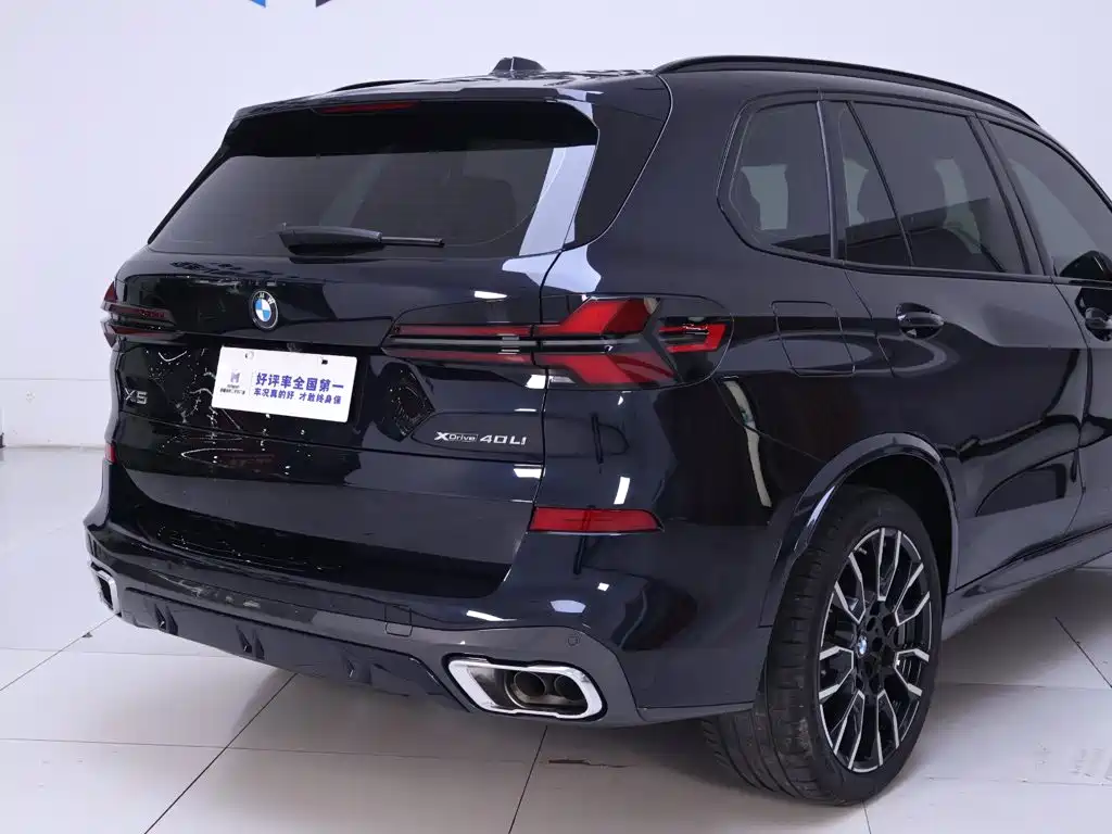 BMW X5 — миниатюра 8