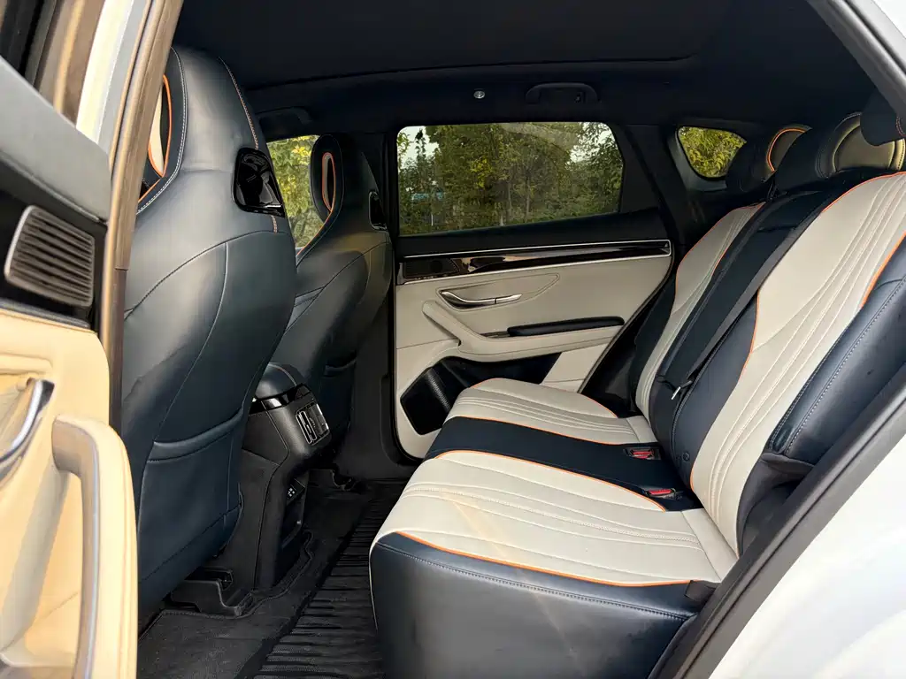 BYD PLUS New Energy — миниатюра 11