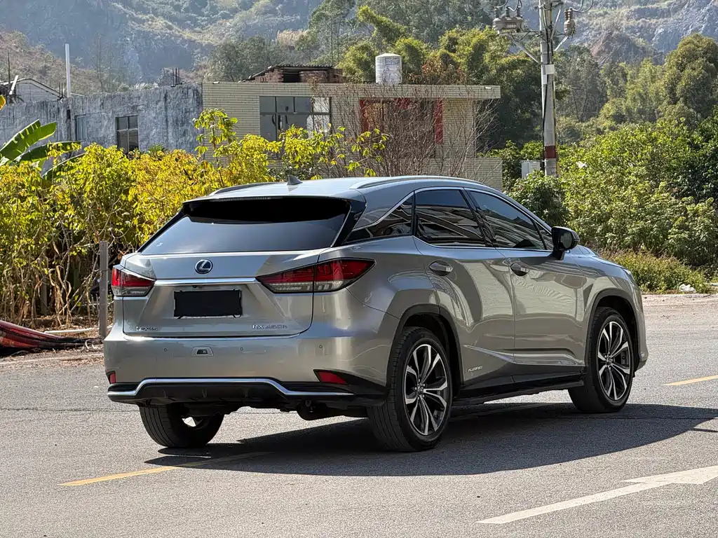 LEXUS RX