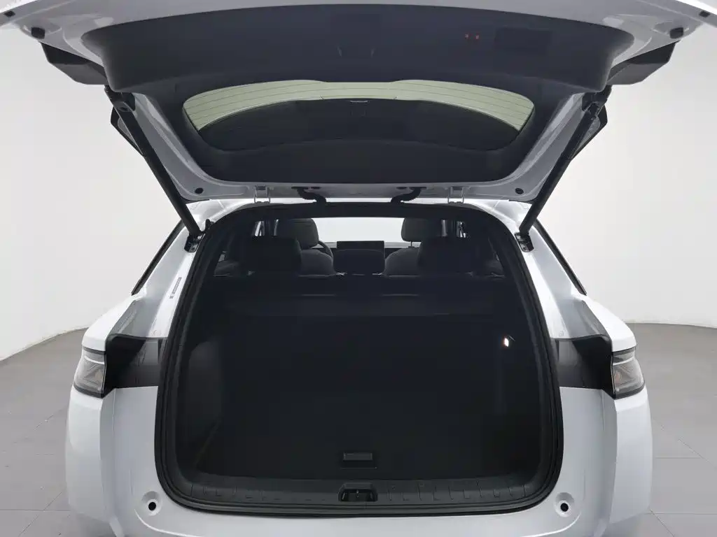 BYD L DM-i — миниатюра 16
