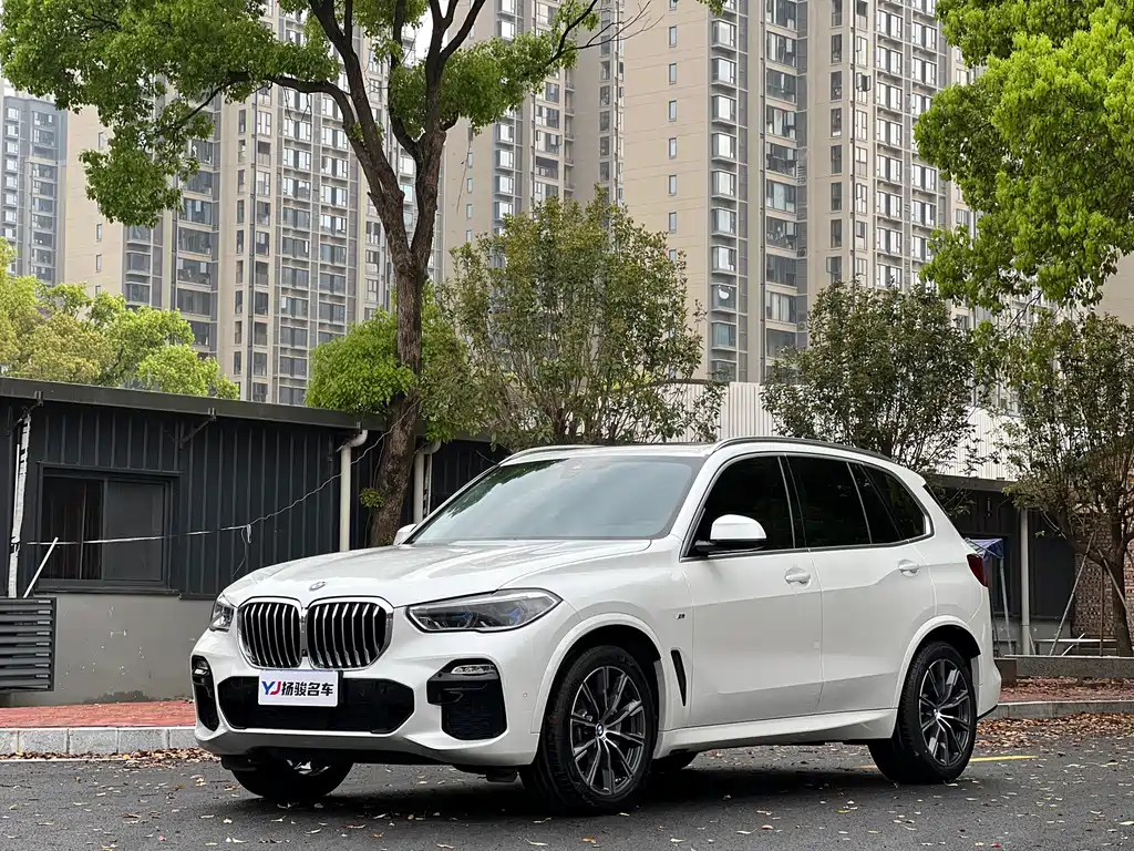 BMW X5 (Import) 2019