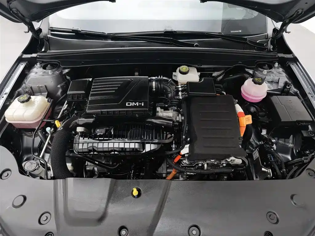 BYD Qin Plus PLUS 2023 Champion DM-i 55KM