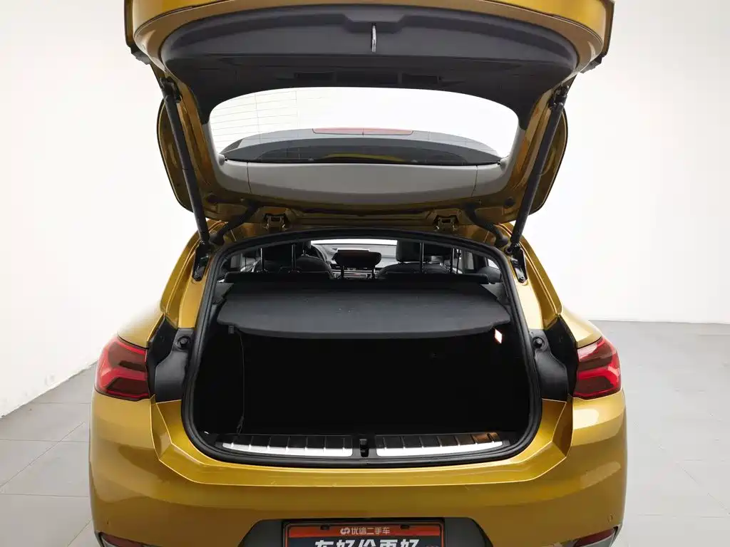 BMW X2 (Import) — миниатюра 16