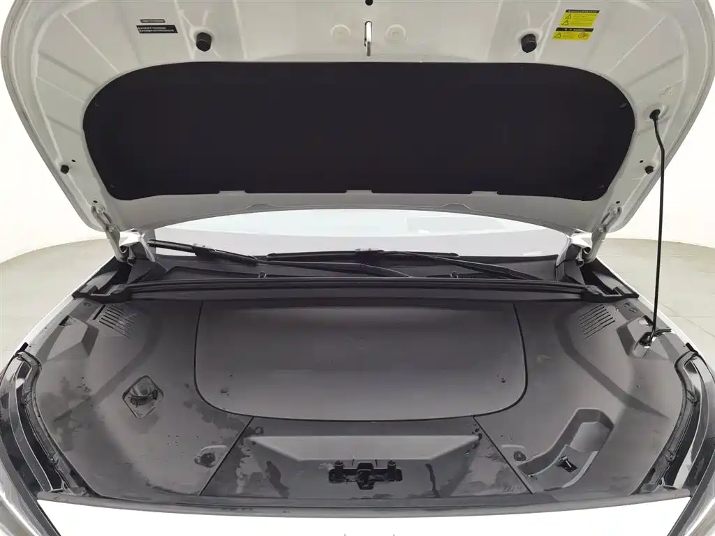 ARCFOX EXTREME FOX POLAR FOX ALPHA T5