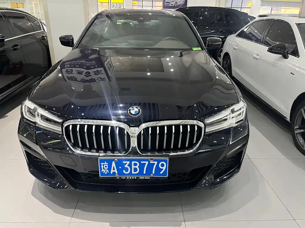 BMW 5 SERIES