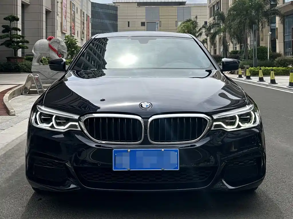 BMW 5 SERIES