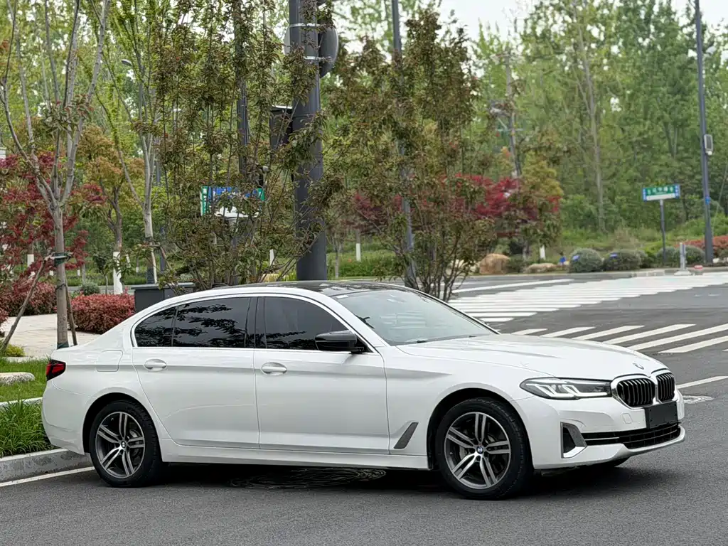 BMW 5 Series 5 2023 530Li Lead Luxury