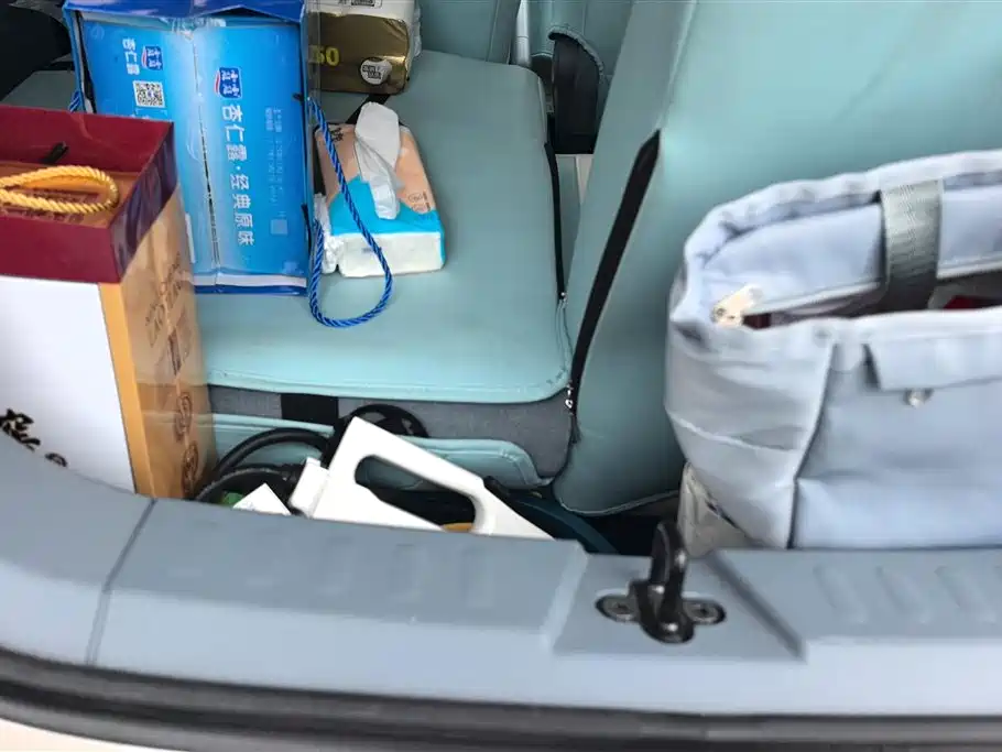 BESTUNE PENTIUM PONY