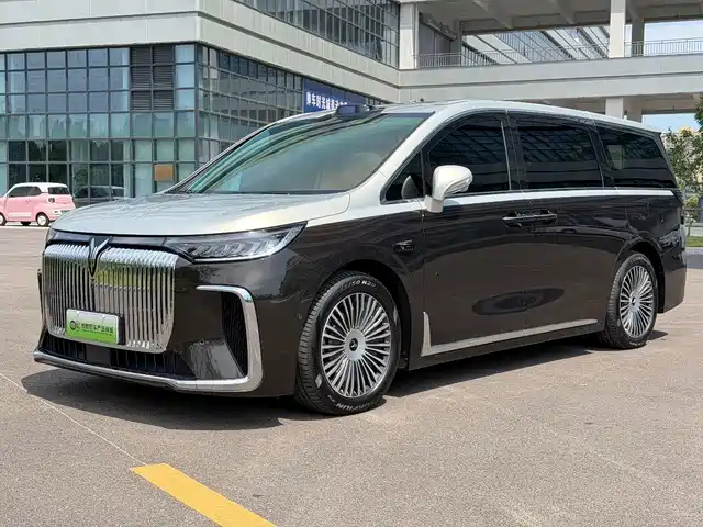2025 Voyah Dream