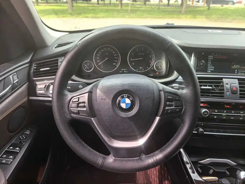 BMW X3 (Import) — миниатюра 16