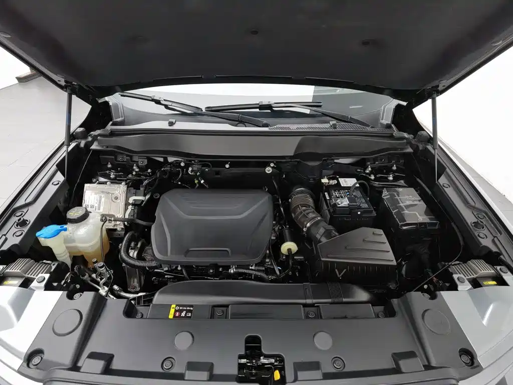 Haval Big Dog — миниатюра 6
