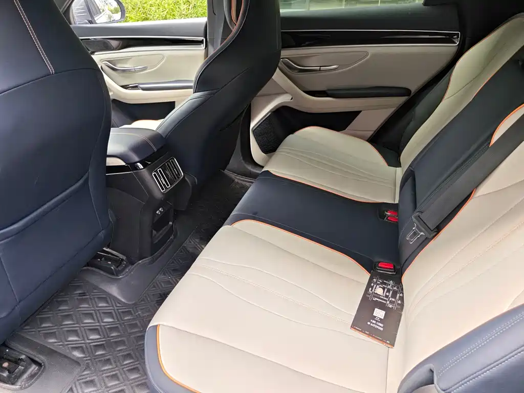 BYD PLUS New Energy — миниатюра 6